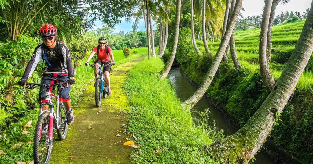 Carang Sari Village Cycling