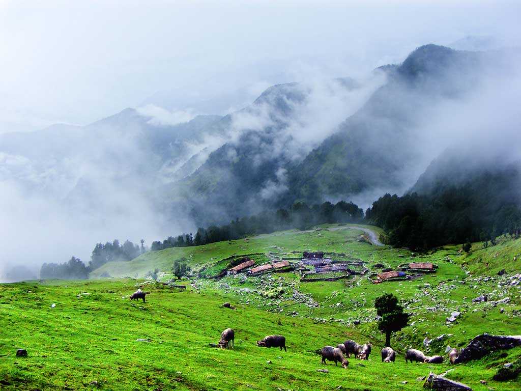 Chopta Valley Tour - Ex Delhi / Ex Haridwar - Himalayantop Travels